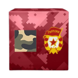 1-й подарок ко Дню России