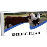 Бизнес-планирование в сельском хозяйстве