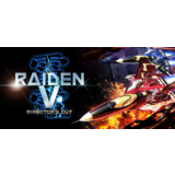 Raiden V: Director´s Cut КЛЮЧ СРАЗУ / STEAM KEY