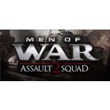 Men of War Assault Squad 2 + 5 DLC / В тылу врага 2 🔑