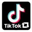100 TikTok Shares