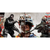 Call of Duty: Black Ops Cold War  АРЕНДА АККАУНТА (PC)