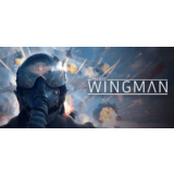 Project Wingman - Steam Access OFFLINE