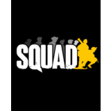 SQUAD / Steam KEY / RU+CIS