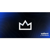 Salient [16.1.3] - Русификация премиум темы 🔥💜