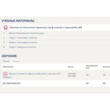 Практика Интернет-маркетинг (Синергия Мн_ИМ)
