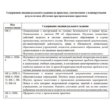 Ознакомительная практика Синергия ППО_ПиПДО