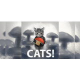 CATS! [Region Free Steam Gift]