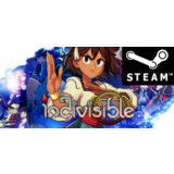 ⭐️ Indivisible - STEAM (Region free)