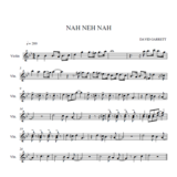 Nah Neh Nah-David Garrett (ноты для скрипки)