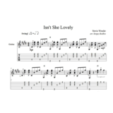 Isn't She Lovely (Стиви Уандер) для гитары