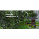 Little Adventurer III (STEAM KEY/REGION FREE)