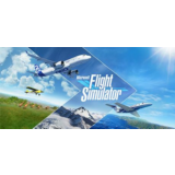 Microsoft Flight Simulator Global Steam аккаунт💳