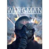 Project Wingman STEAM KEY RU+CIS