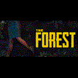 The Forest 💎 АВТОДОСТАВКА STEAM GIFT РОССИЯ