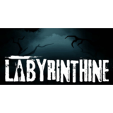 Labyrinthine (STEAM) Аккаунт 🌍Region Free