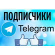 Subscribers to the Telegram channel