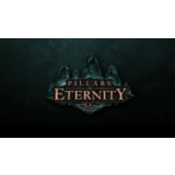 Pillars of Eternity / STEAM Gift RUSSIA