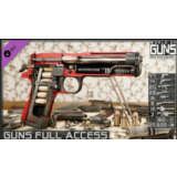DLC World of Guns: Guns Full Access / STEAM Gift RUSSIA