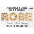 Роза алфавит буквы a-z, цифры 0-9 для лазерной резки