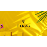 🎻TIDAL HiFi PLUS ИНДИВИДУАЛЬНЫЙ 1 МЕСЯЦ★ЛИЧНЫЙ АККАУНТ