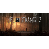 Life is Strange 2 - Episode 1 - Steam аккаунт оффлайн💳