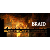 Braid - Steam аккаунт оффлайн💳