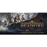 Pillars of Eternity II Deadfire Obsidian - оффлайн💳