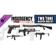 Insurgency: Sandstorm - Two-Tone Weapon Skin Set 💎 DLC