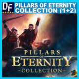 Pillars of Eternity Collection (1+2) ✔️STEAM Аккаунт