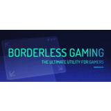 Borderless Gaming | Steam Gift Россия