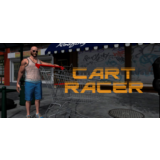 Cart Racer | Steam Gift Россия