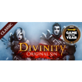 Divinity: Original Sin Enhanced Edition - Collector's E