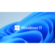 ✅  Windows 11 Pro🔥Retail [No fee]