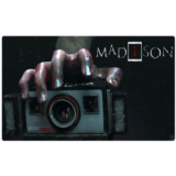 💠 MADiSON (PS4/PS5/RU) (Аренда от 7 дней)