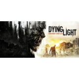 Dying Light The Following Enhanced Edition STEAM KEY EU