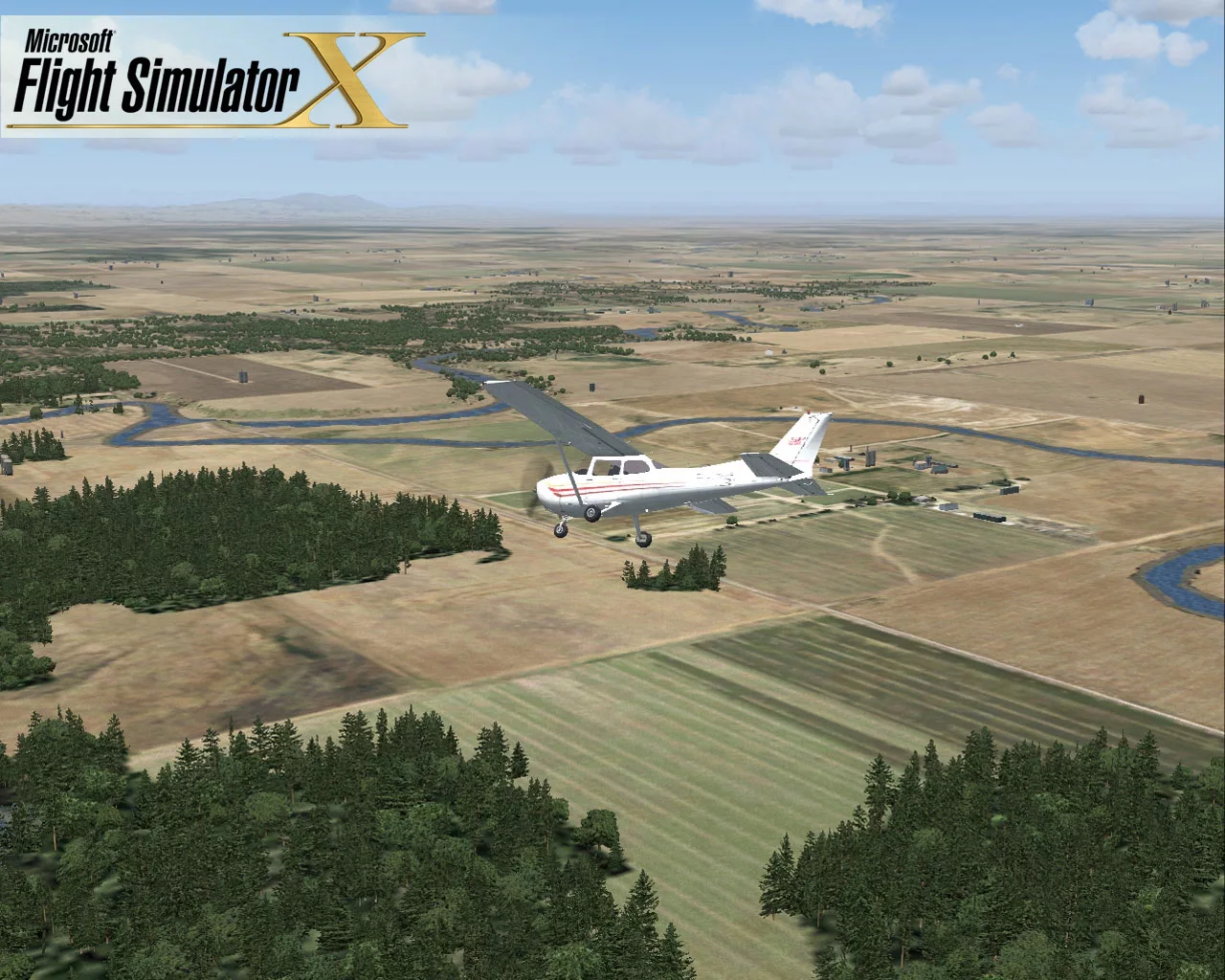 как скачать microsoft flight simulator x steam edition фото 74