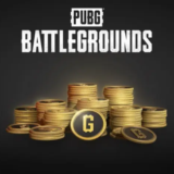 PUBG 300 G-Coin (PC - Steam)