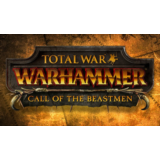 💳Total War: Warhammer Call of the Beastmen✅DLC Ключ