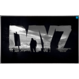 💠 DayZ (PS4/PS5/RU) П3 - Активация