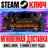 Total War Warhammer The King and the Warlord Steam Ключ