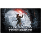 💠 Rise of the Tomb Raider (PS4/PS5/RU) П3 - Активация