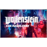 💠 Wolfenstein: Youngblood (PS4/PS5/RU) П3 - Активация