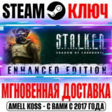 S.T.A.L.K.E.R.: Тень Чернобыля Enhanced Edition Steam