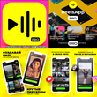📷 ReelsApp видео тренды reels PRO iPhone ios AppStore