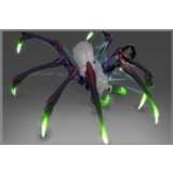 Limbs of Lycosidae