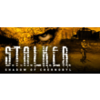 🔑STALKER: Shadow of Chernobyl. STEAM-key (Region free)