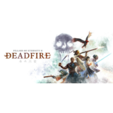 🔑Pillars of Eternity II: Deadfire. STEAM-ключ Россия