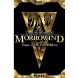 🔥 The Elder Scrolls 3 III Morrowind GOTY STEAM КЛЮЧ RU