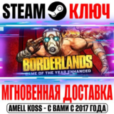 Borderlands Game of the Year Enhanced (+4 DLC) Steam